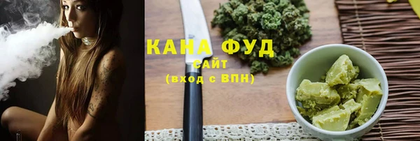 молекула духа Елабуга