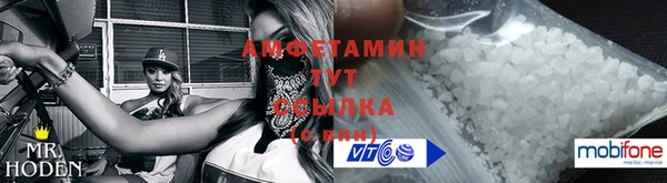 молекула духа Елабуга