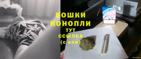 молекула духа Елабуга