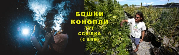молекула духа Елабуга